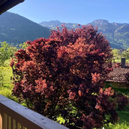Kampenwinkel Daire Aschau im Chiemgau